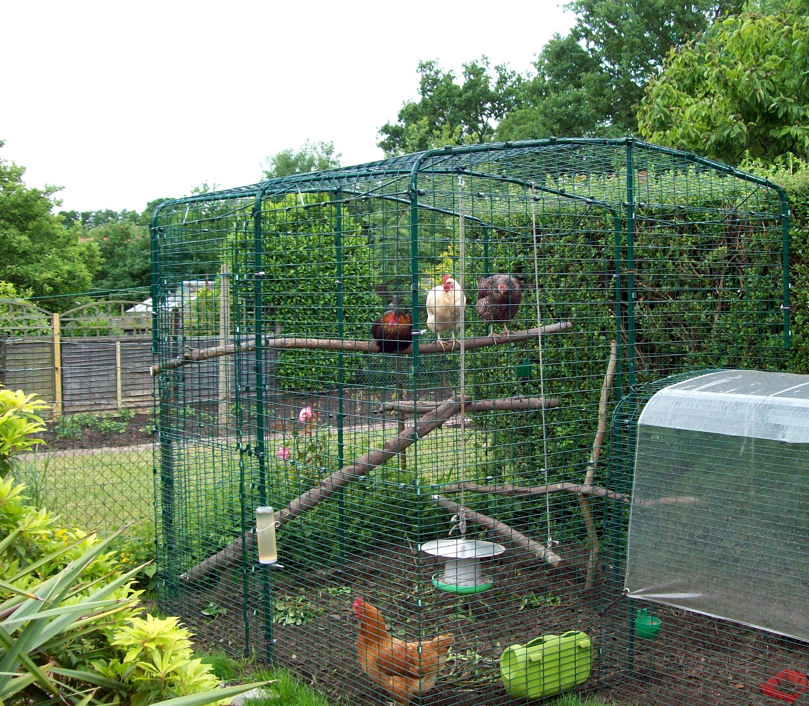 Reviews for Walk In Chicken Run Chicken Keeping Omlet