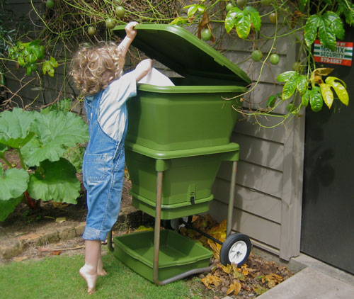 Empty your kitchen caddy into the Hungry Bin regularly!