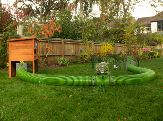 guinea pig hutch connected to a small animal playpen using a zippi burrow pipe