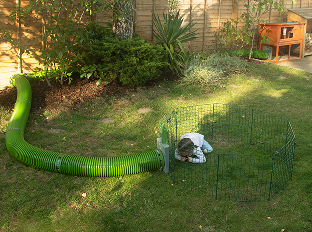 girl inside a small animal playpen playing with her guinea pigs which are inside their zippi tunnel