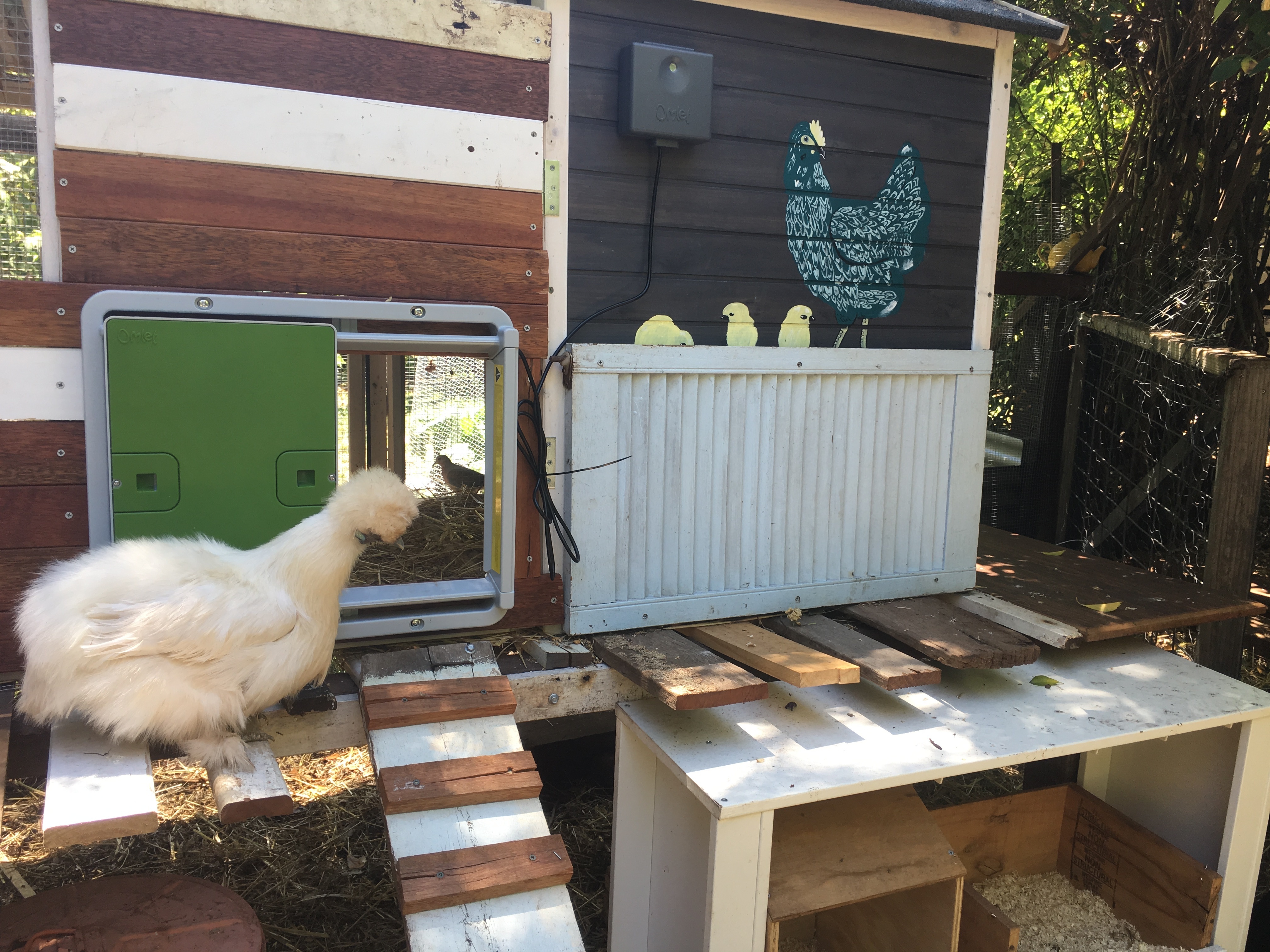 Reviews For Automatic Chicken Coop Door Chicken Keeping Omlet