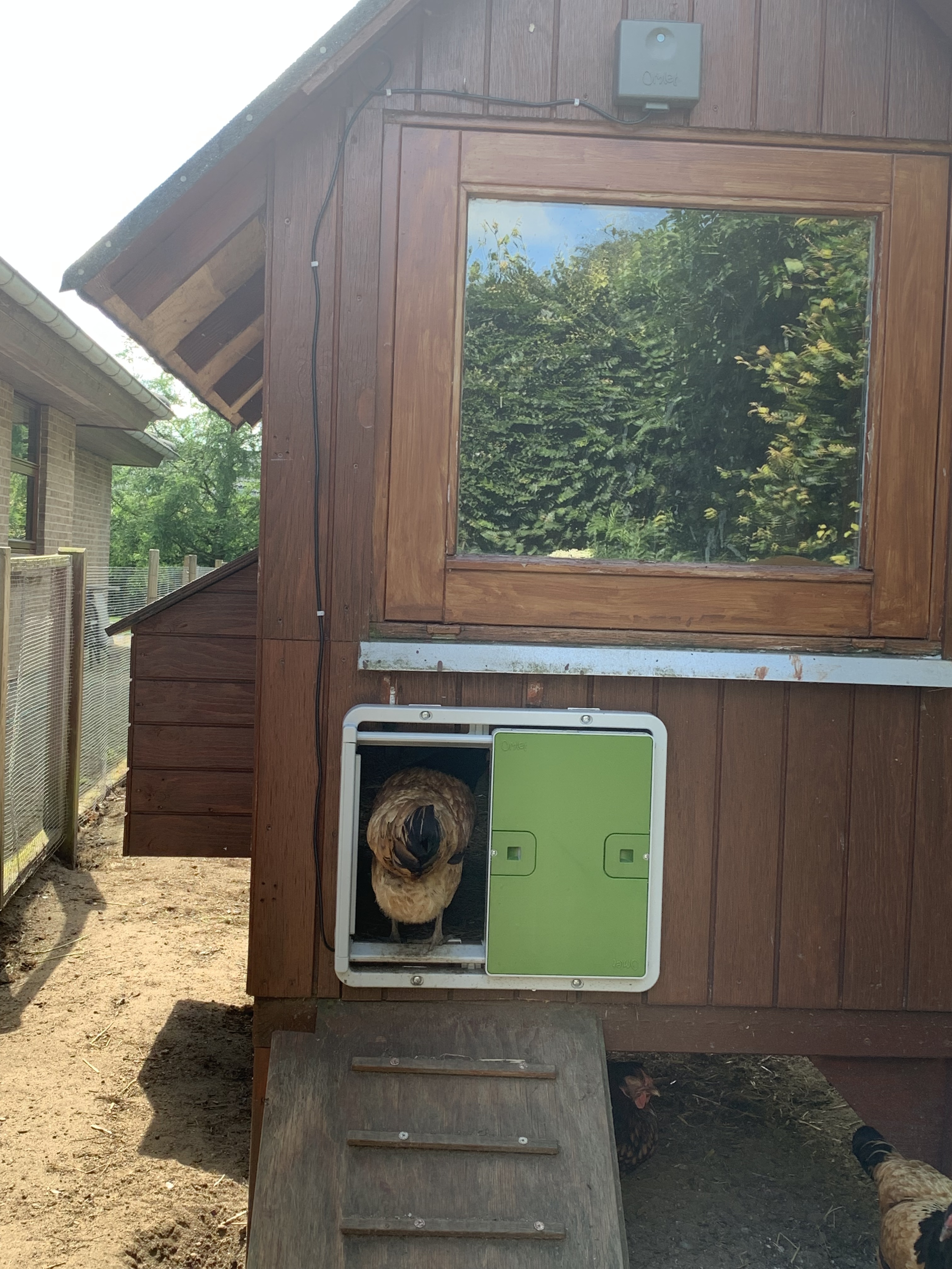 Automatic Chicken Coop Door Opener | Omlet