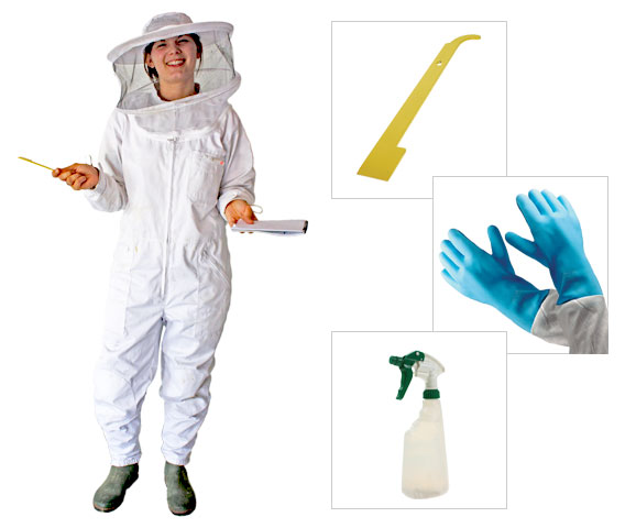 Starter Pack contents (beesuit with sturdy gloves, a hive tool and a smoker, heavy-duty steel hive tool)