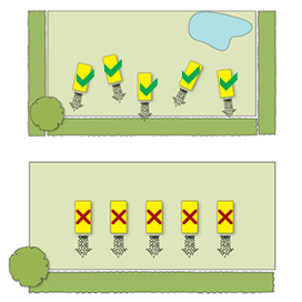 Diagram of Beehaus layout in the garden