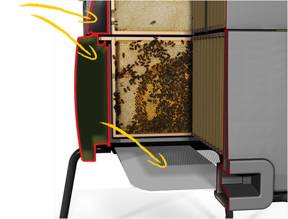 Cross section of Beehaus showing ventilation and insulation.