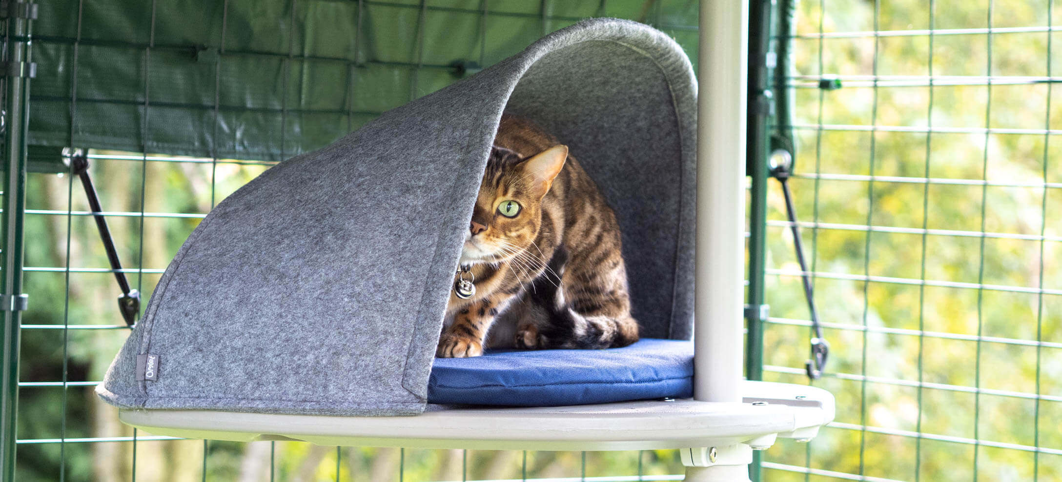 Bengal cat sat in outdoor cat den on blue cushion