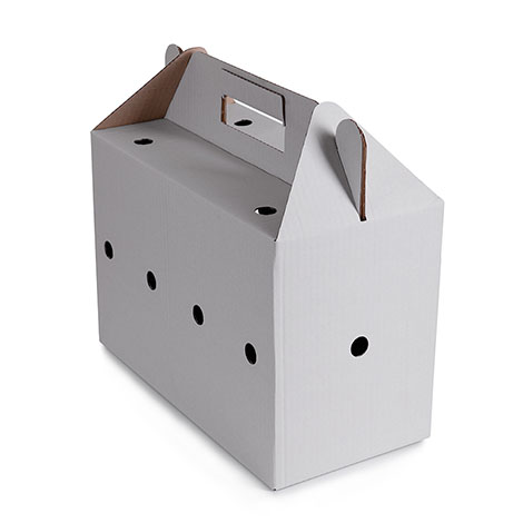 Bird carrying box