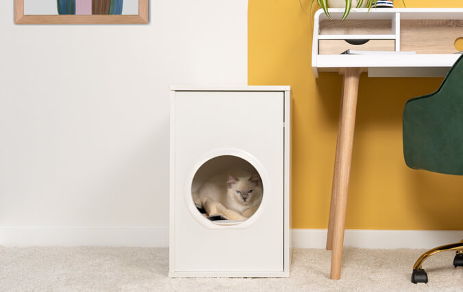 White cat hiding in white indoor cat house next to a desk