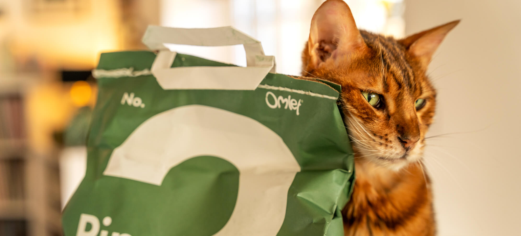 A Bengal cat sits by a green bag of cat litter