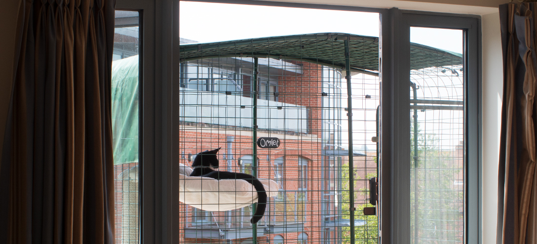 What a great spot for a cat nap! a cat lying on a bed inside a cat balcony