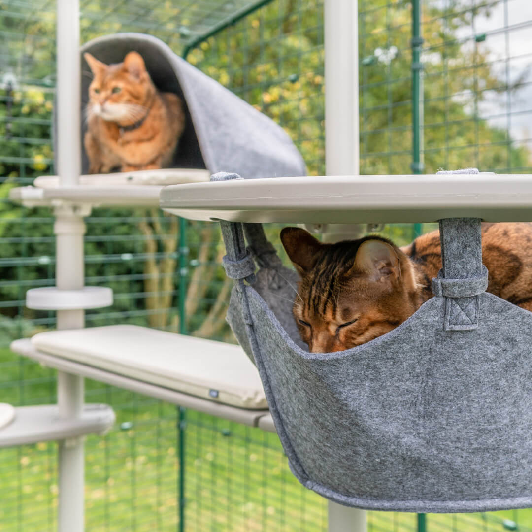 draco ecoflex cat tree