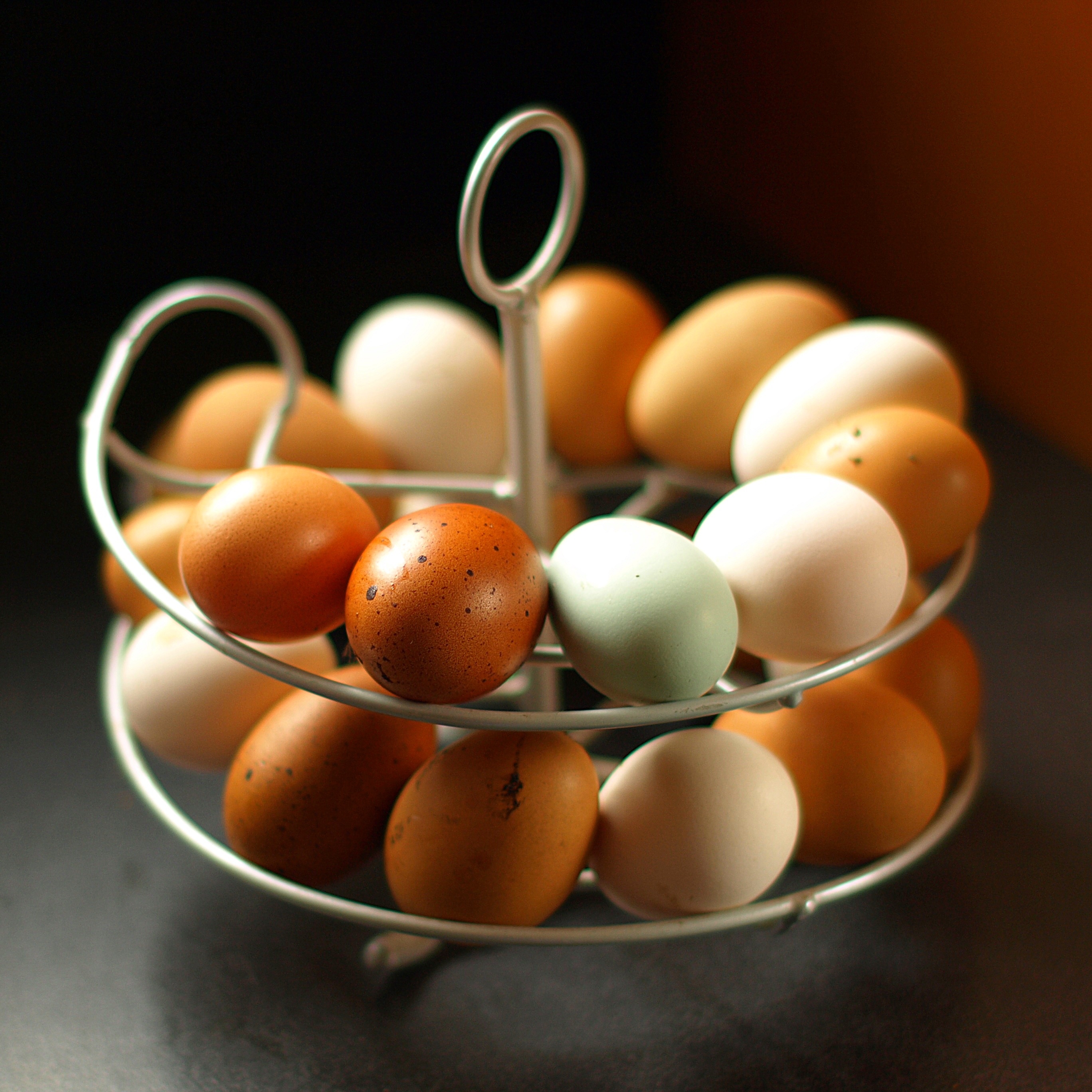 Eggs are so pretty. brown and white chicken eggs