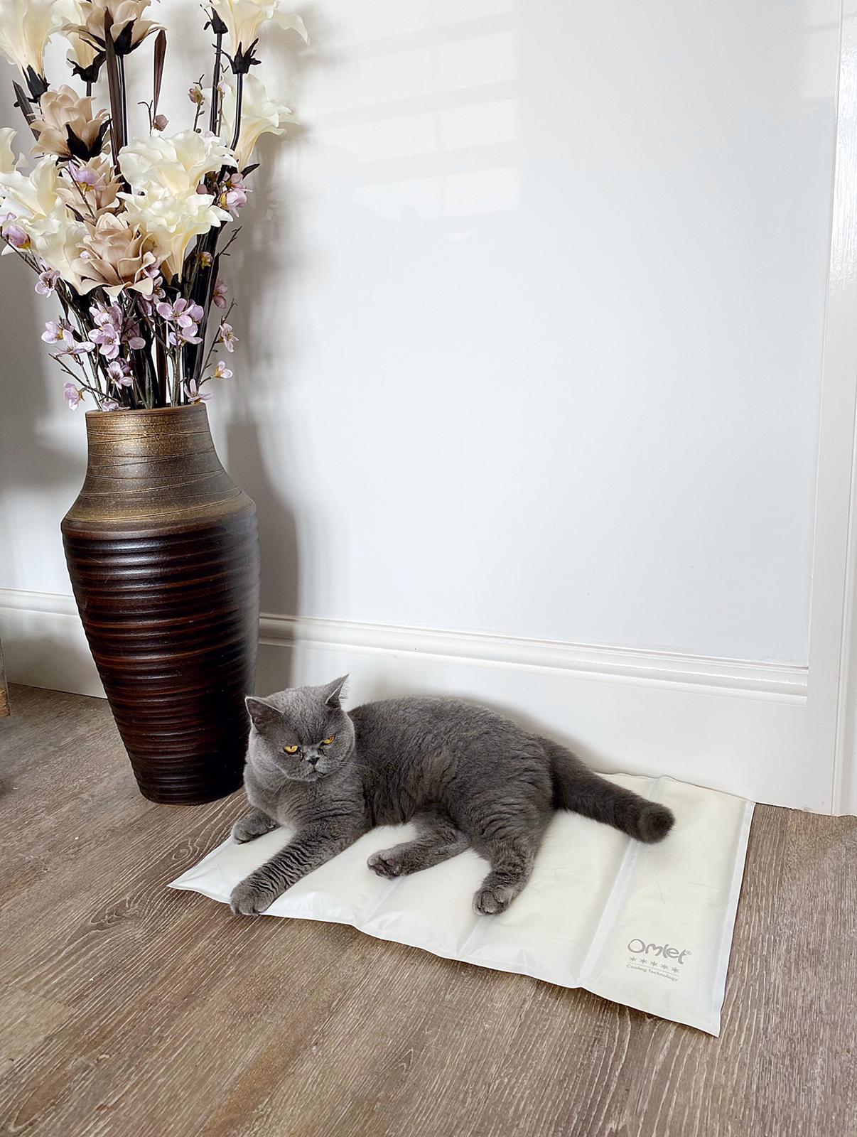 Cat cooling on sale