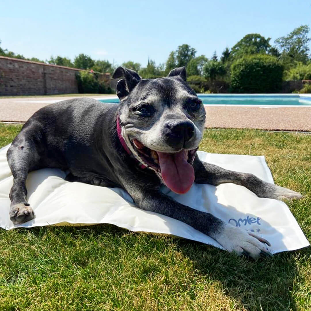 electric pet cooling mat