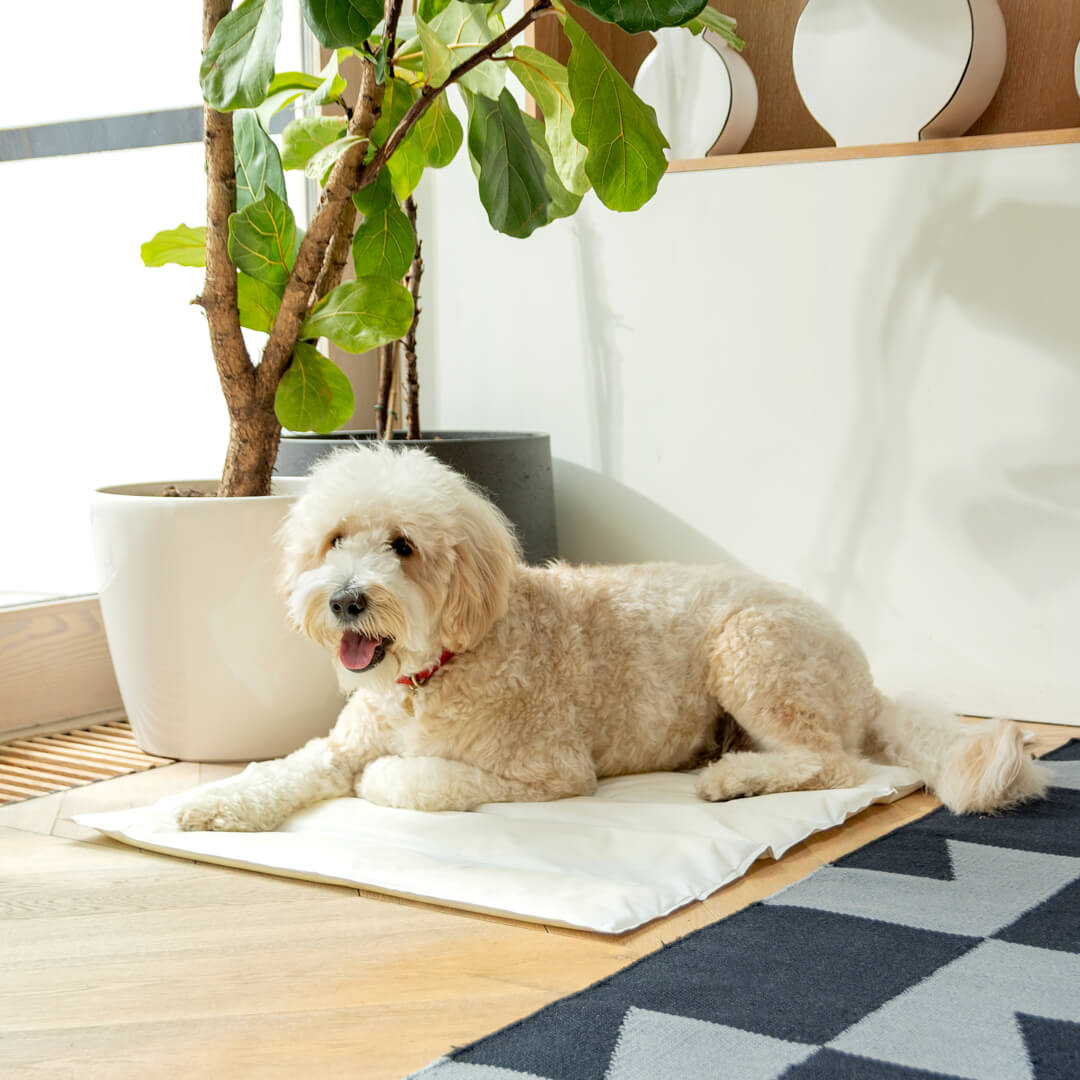 large pet cooling mat