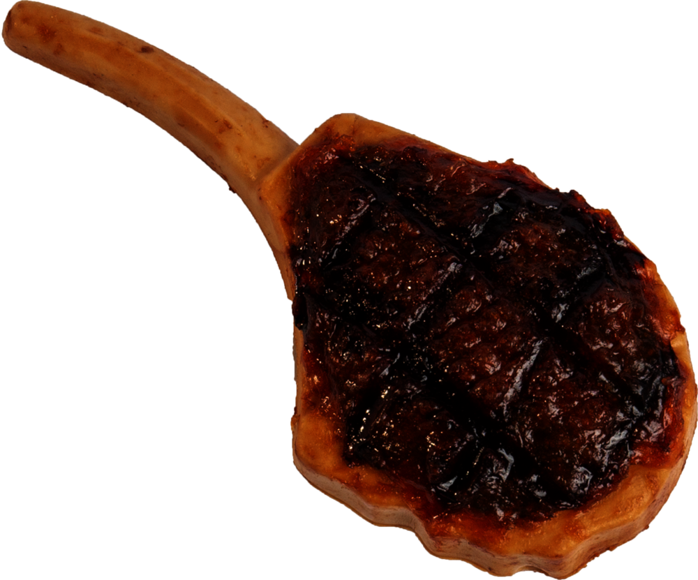 Are Lamb Chop Bones Safe For Dogs