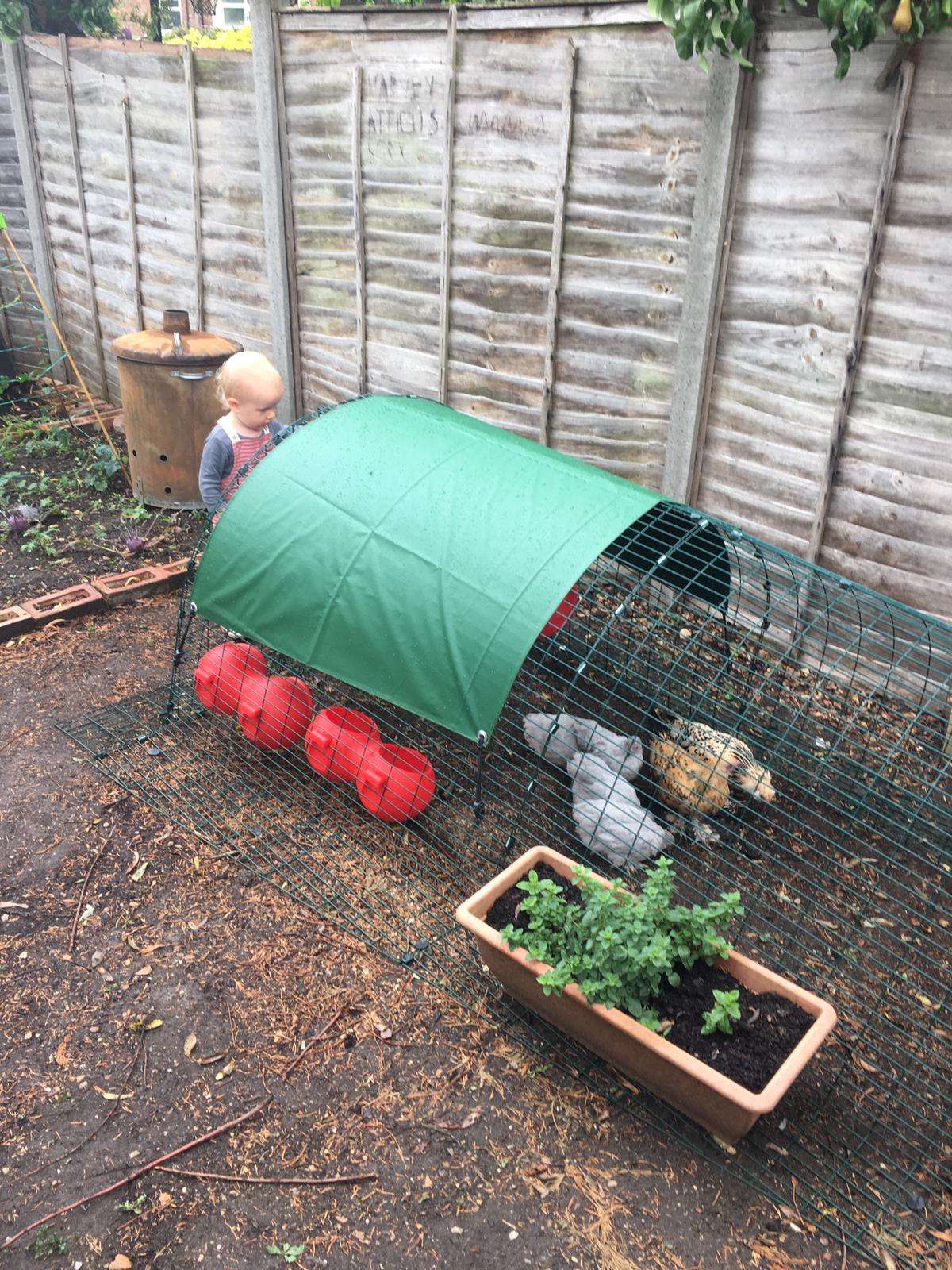 Eglu Classic Chicken Coop With Accessories Green