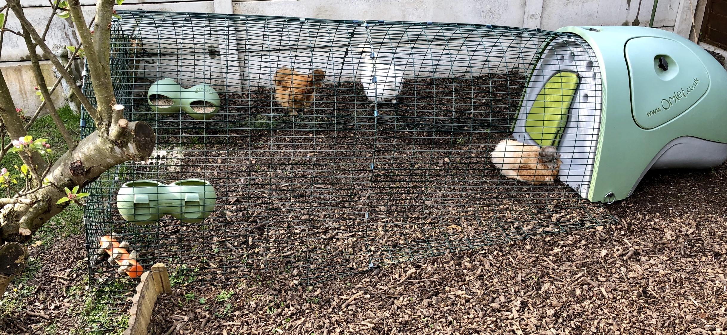 Eglu Classic Chicken Coop With Accessories Green
