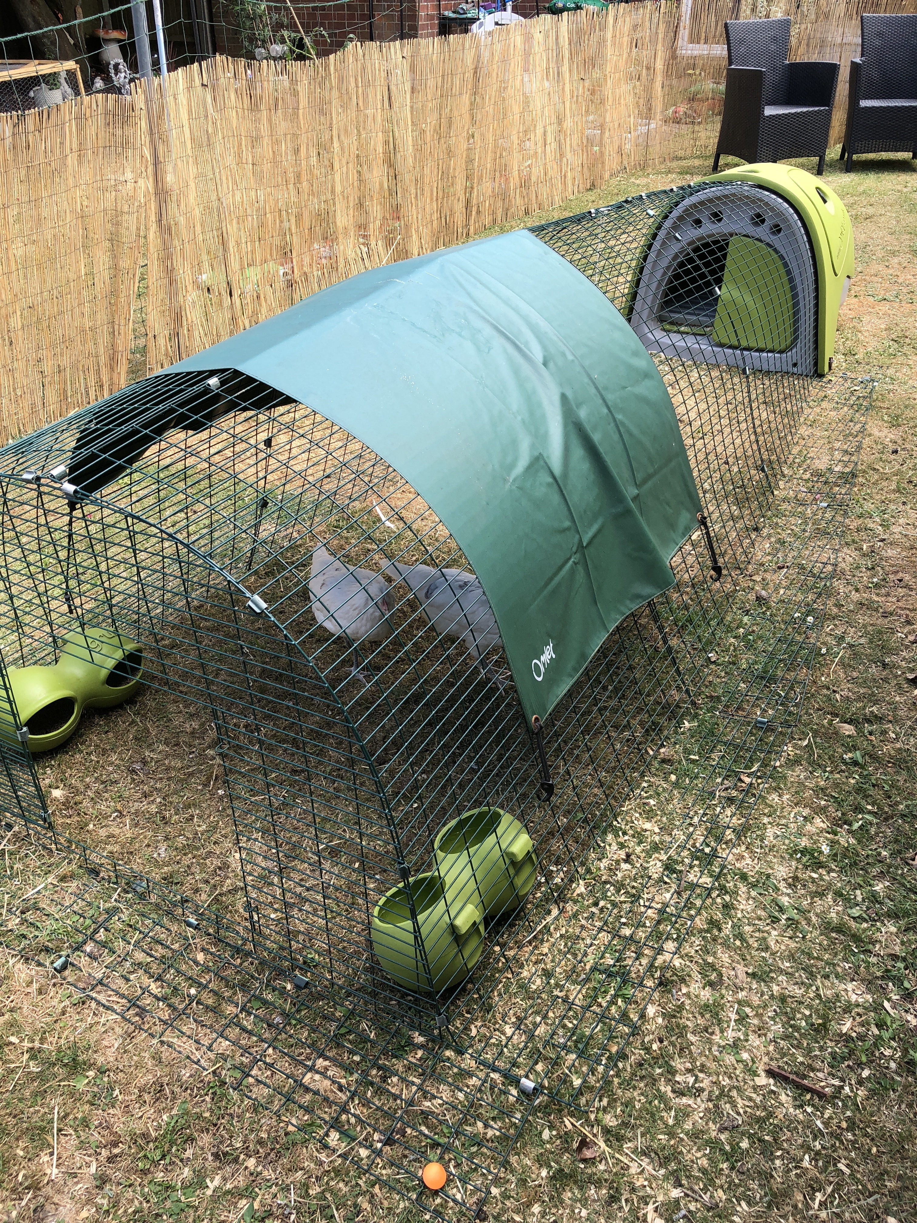 Eglu Classic Chicken Coop Chicken House for 24 Birds