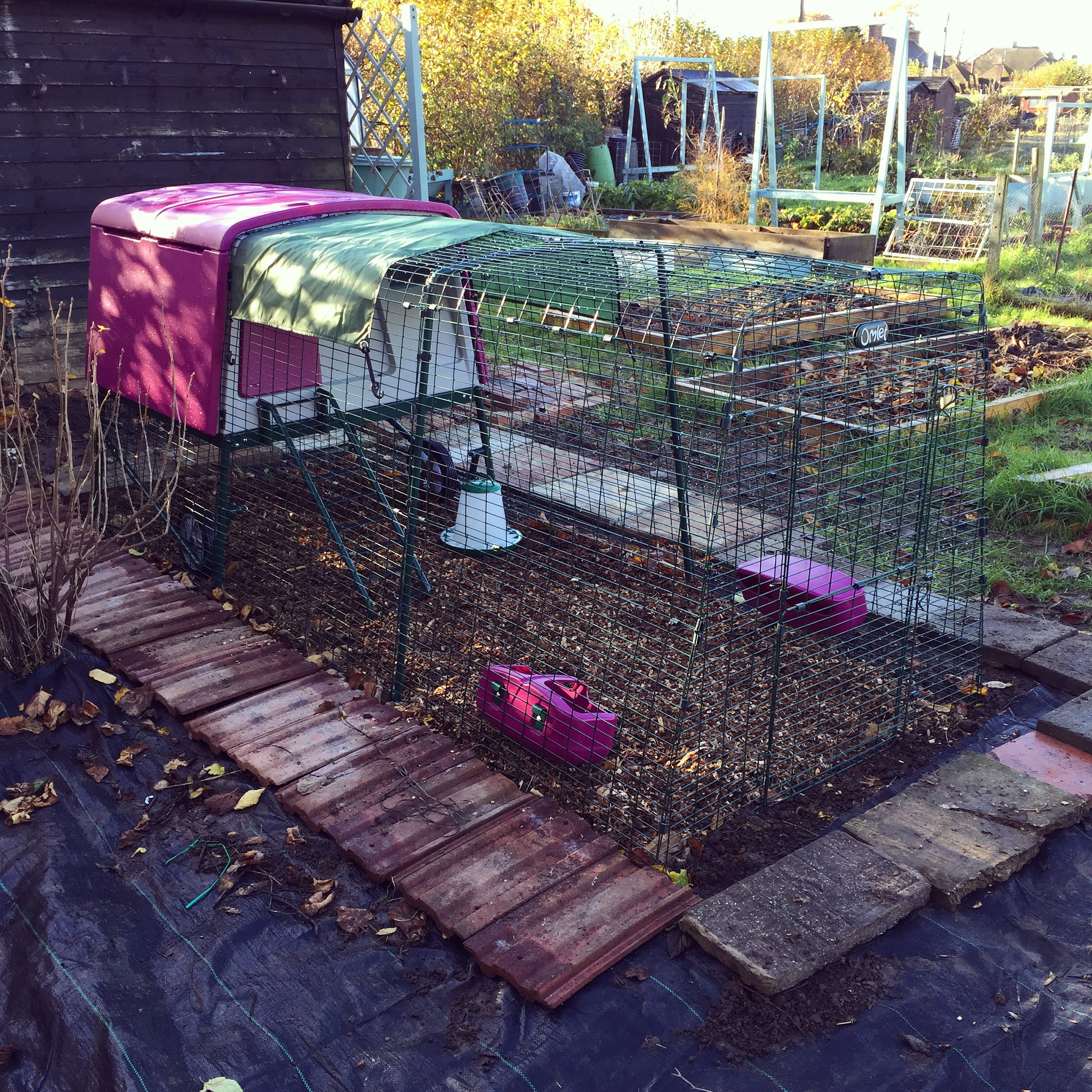 New Eglu Cube Chicken Coop | Chicken Coops and Pet Chicken ...