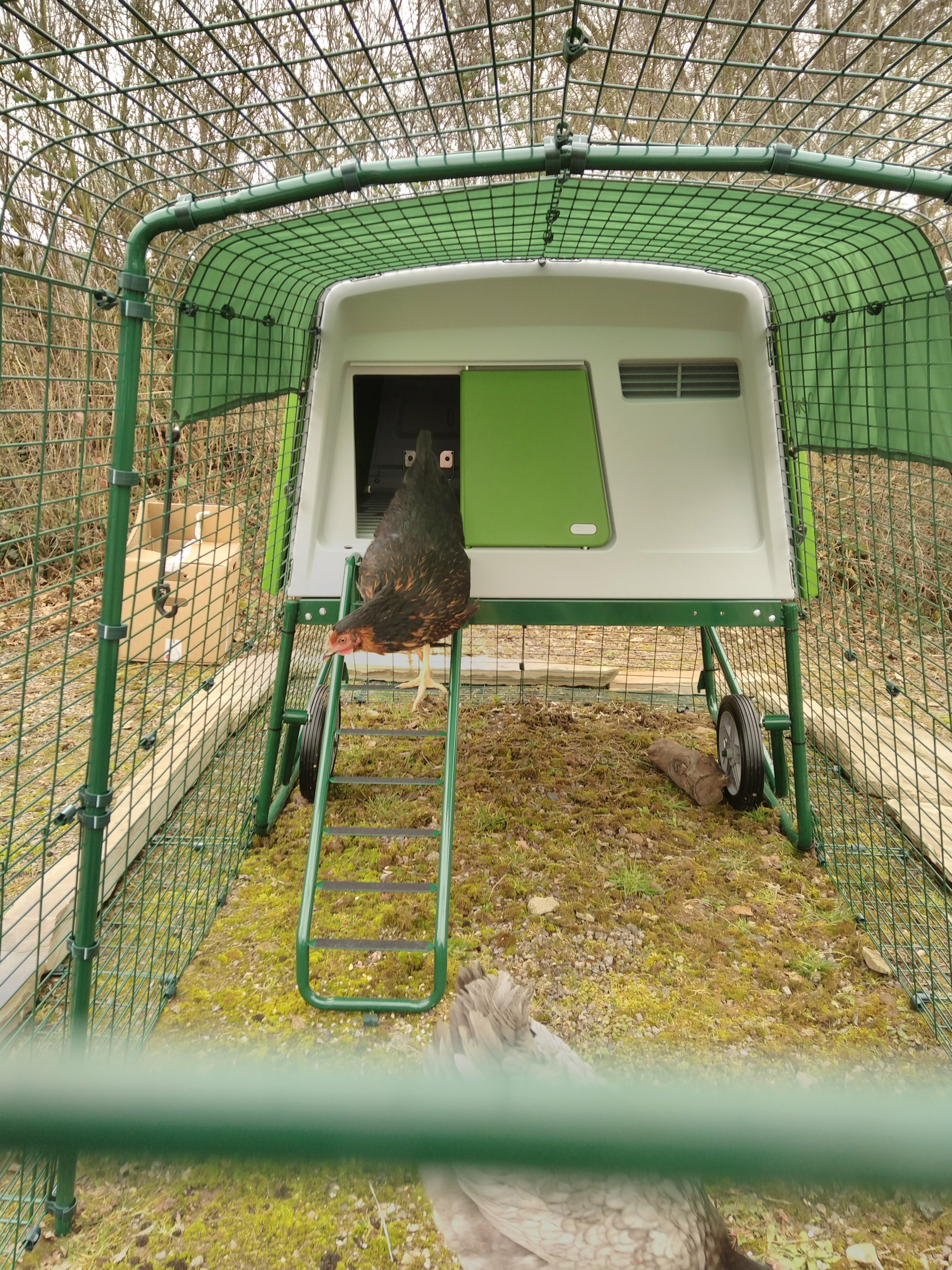 New Eglu Cube Chicken Coop Chicken Coops and Pet Chicken Accessories