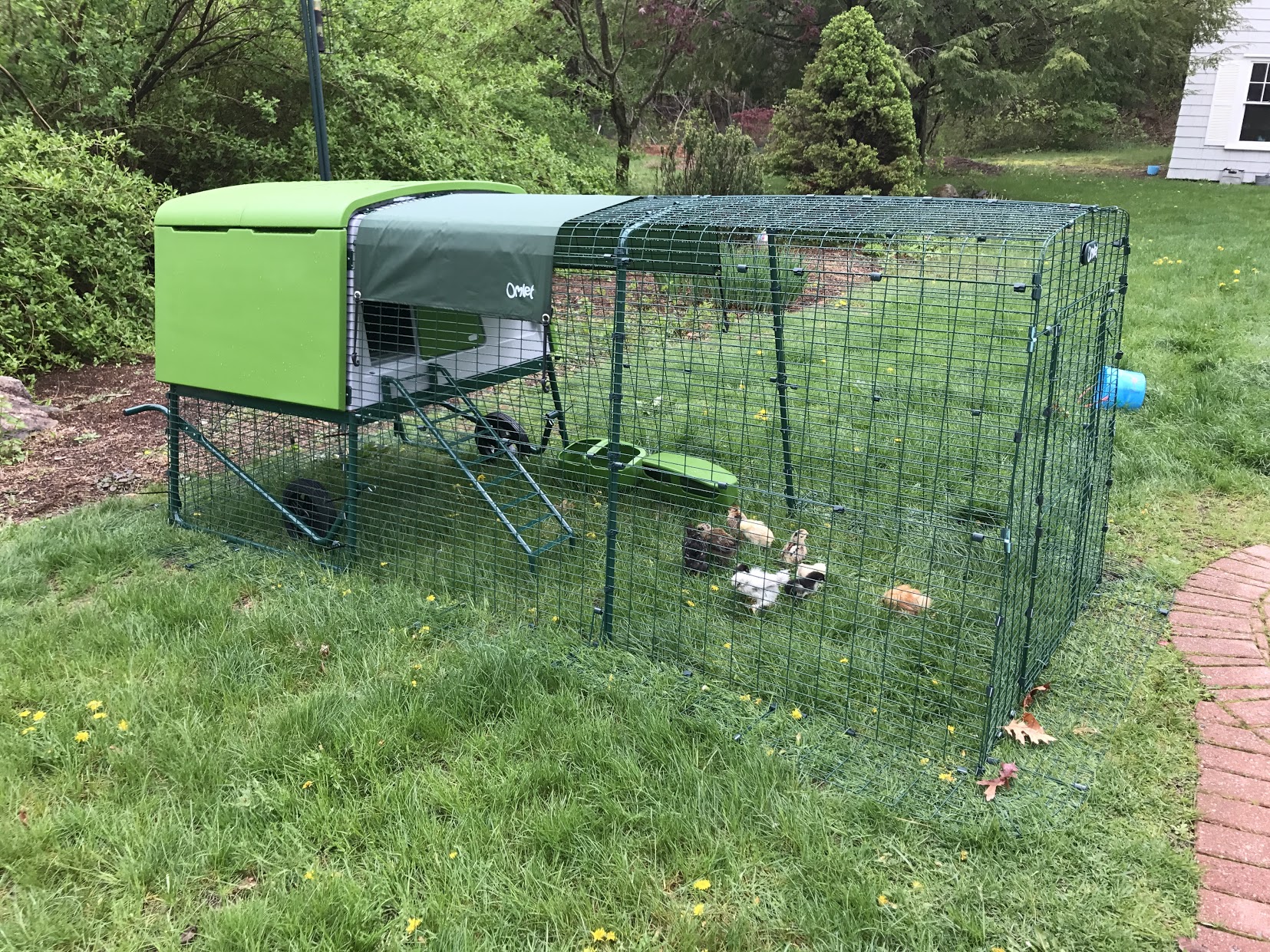 New Eglu Cube Chicken Coop Chicken Keeping Equipment Omlet