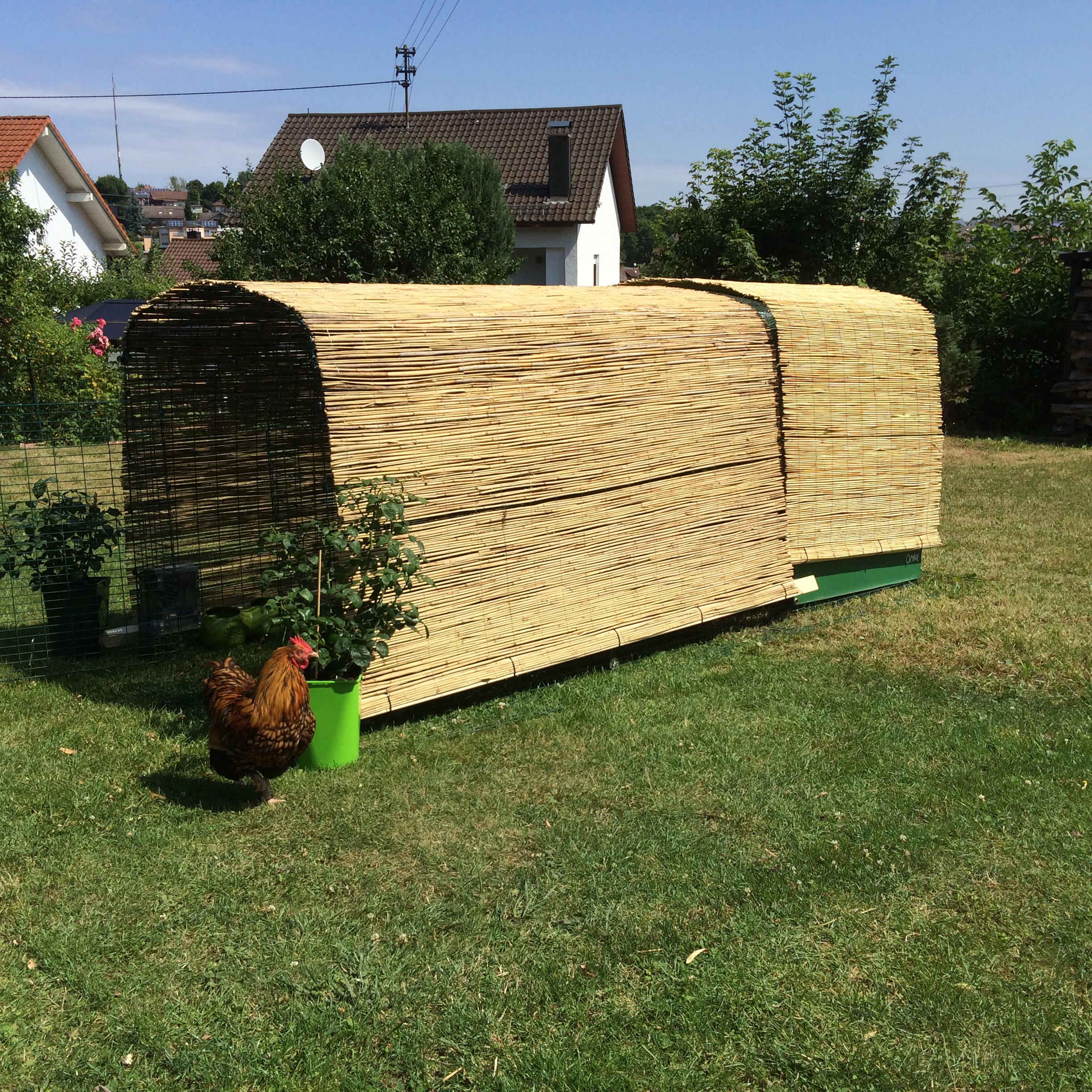 New Eglu Cube Chicken Coop Chicken Keeping Equipment Omlet