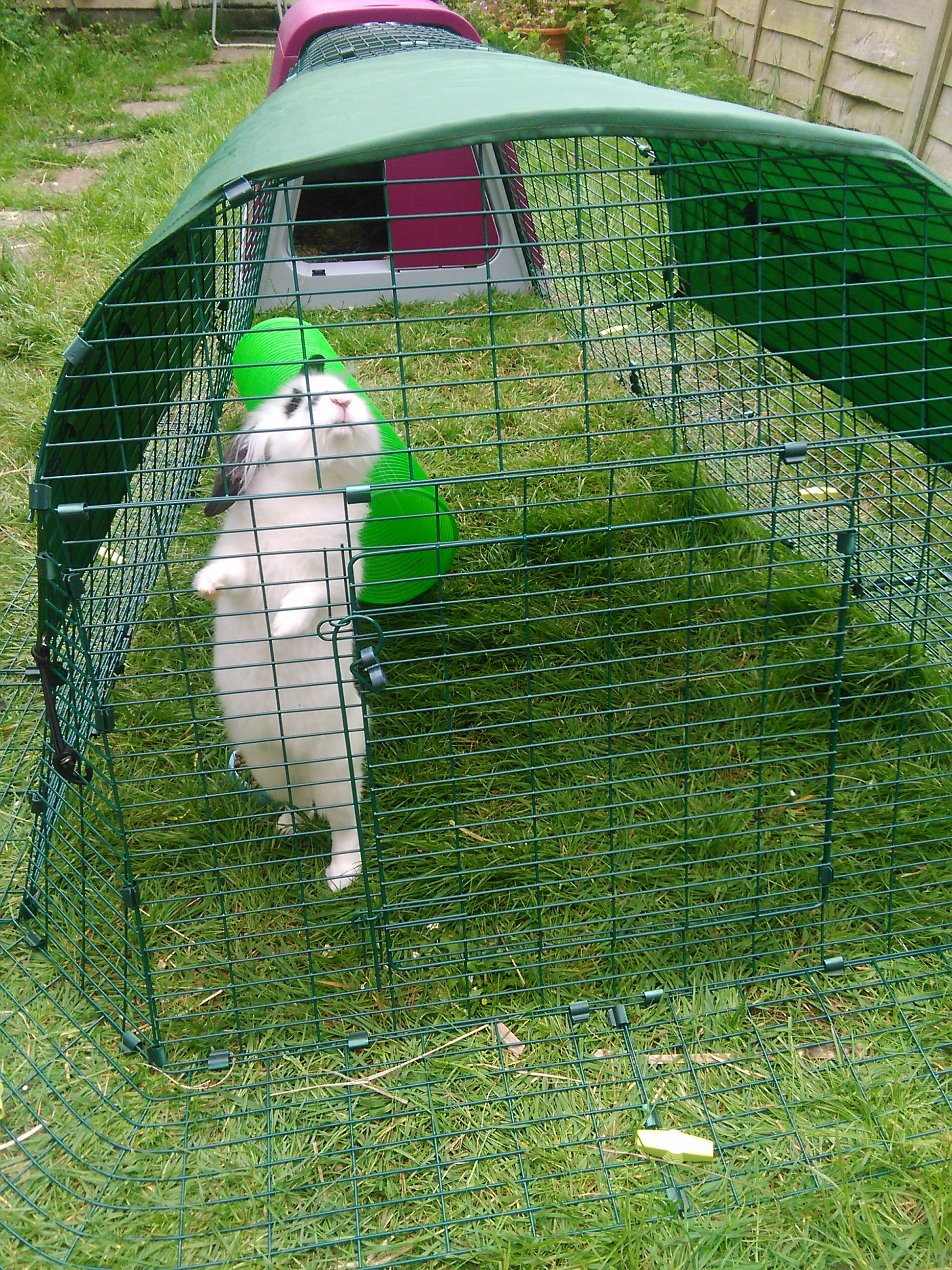 Eglu Go Rabbit Hutch Plastic House and Run for Rabbits