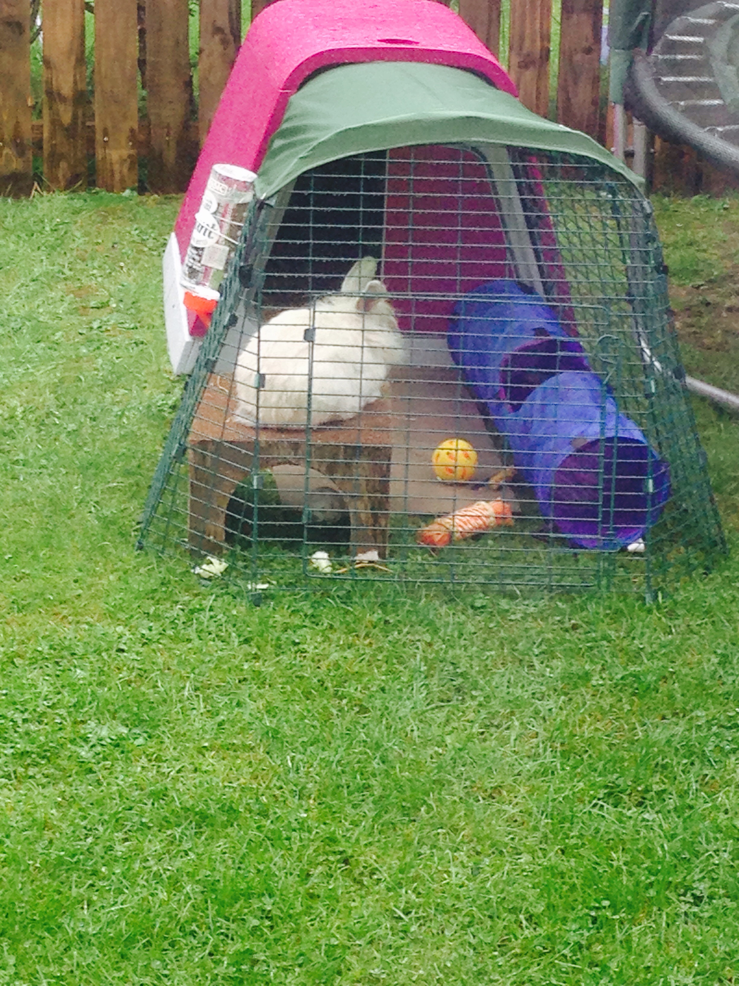 Eglu Go Rabbit Hutch Plastic House and Run for Rabbits