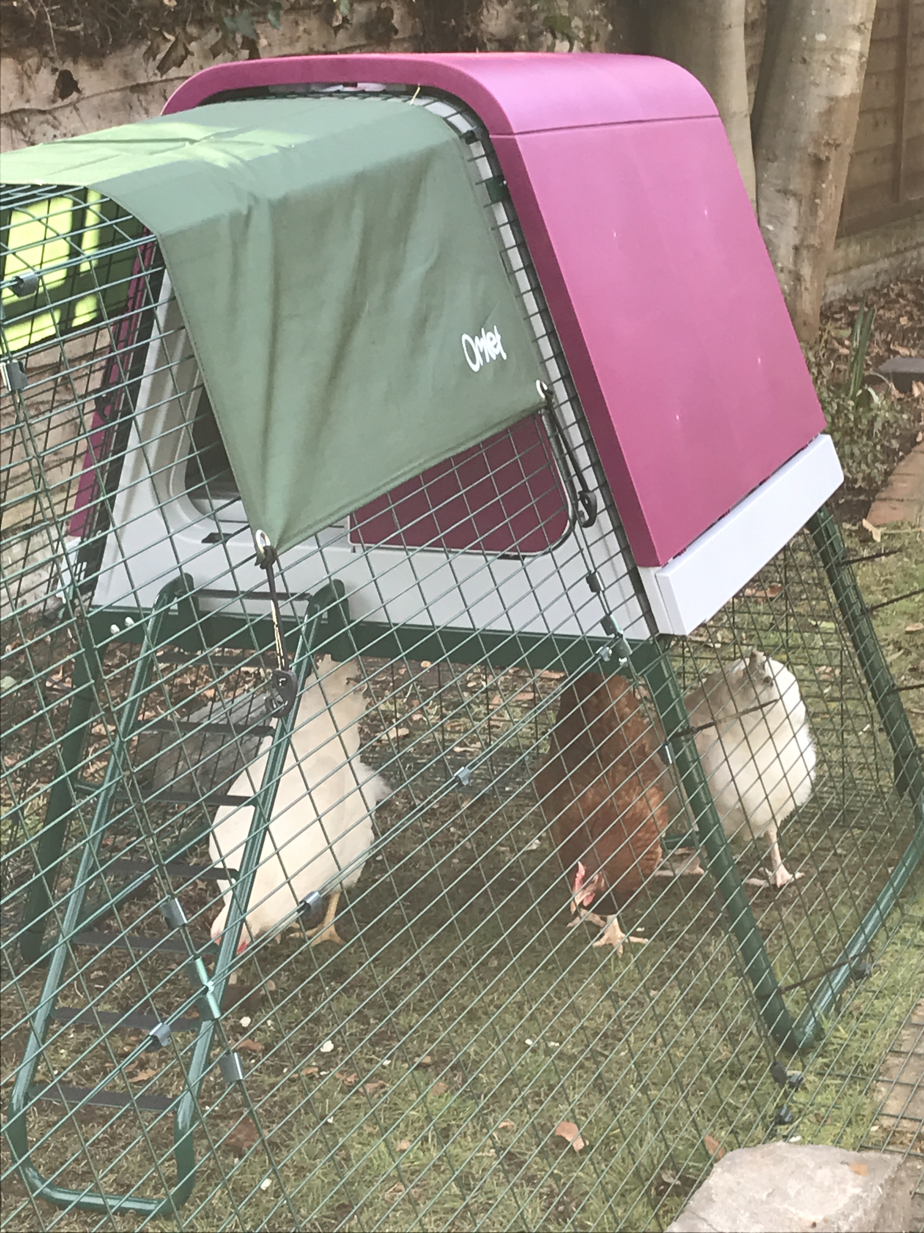 Eglu Go UP Chicken Coop Chicken House for 24 Birds