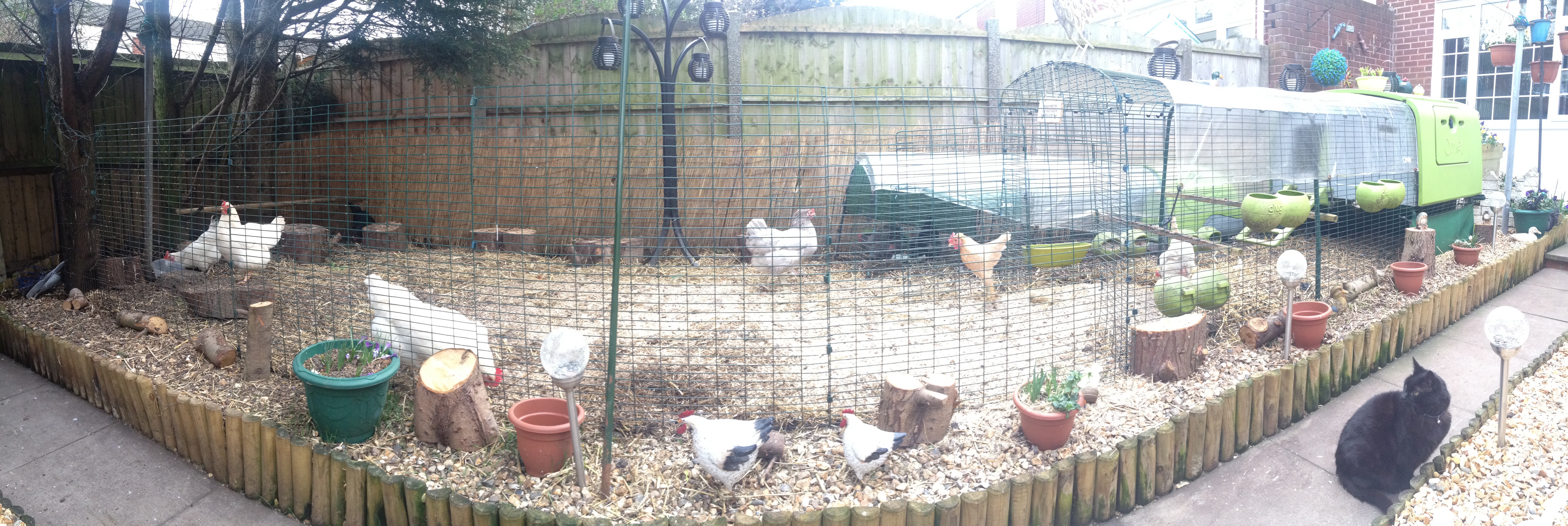 Reviews for Eglu Cube Chicken Coop Chicken Keeping Omlet