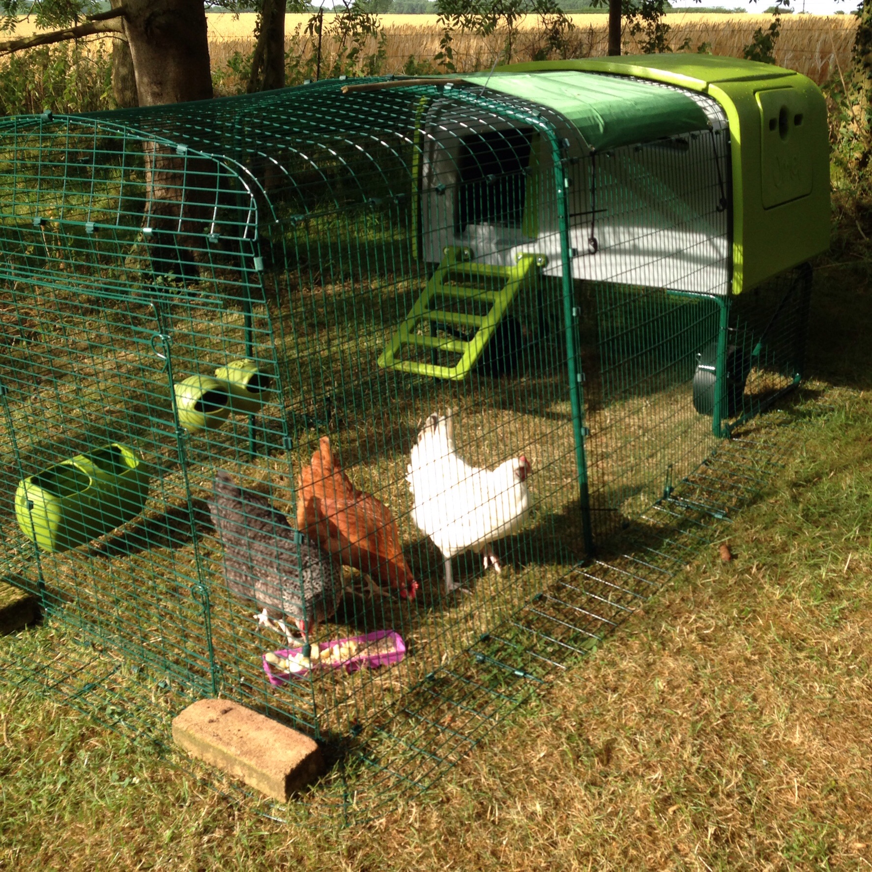 Reviews for Eglu Cube Chicken Coop Chicken Keeping Omlet