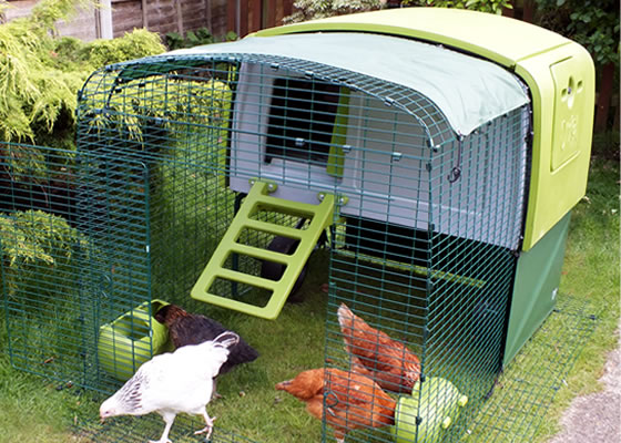 The Eglu Cube has the most fox-resistant run on the market.