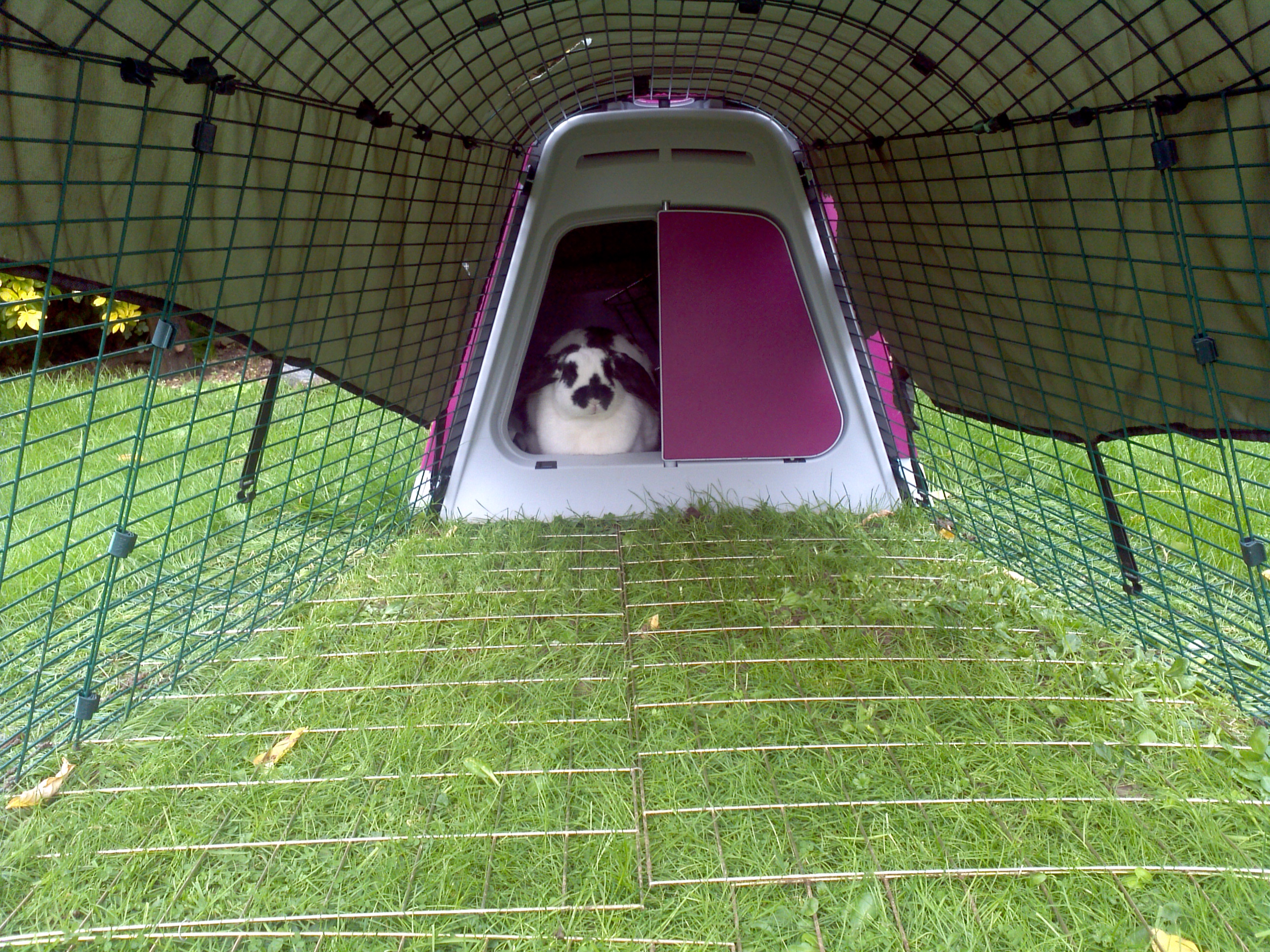 Eglu Go Rabbit Hutch Plastic House and Run for Rabbits