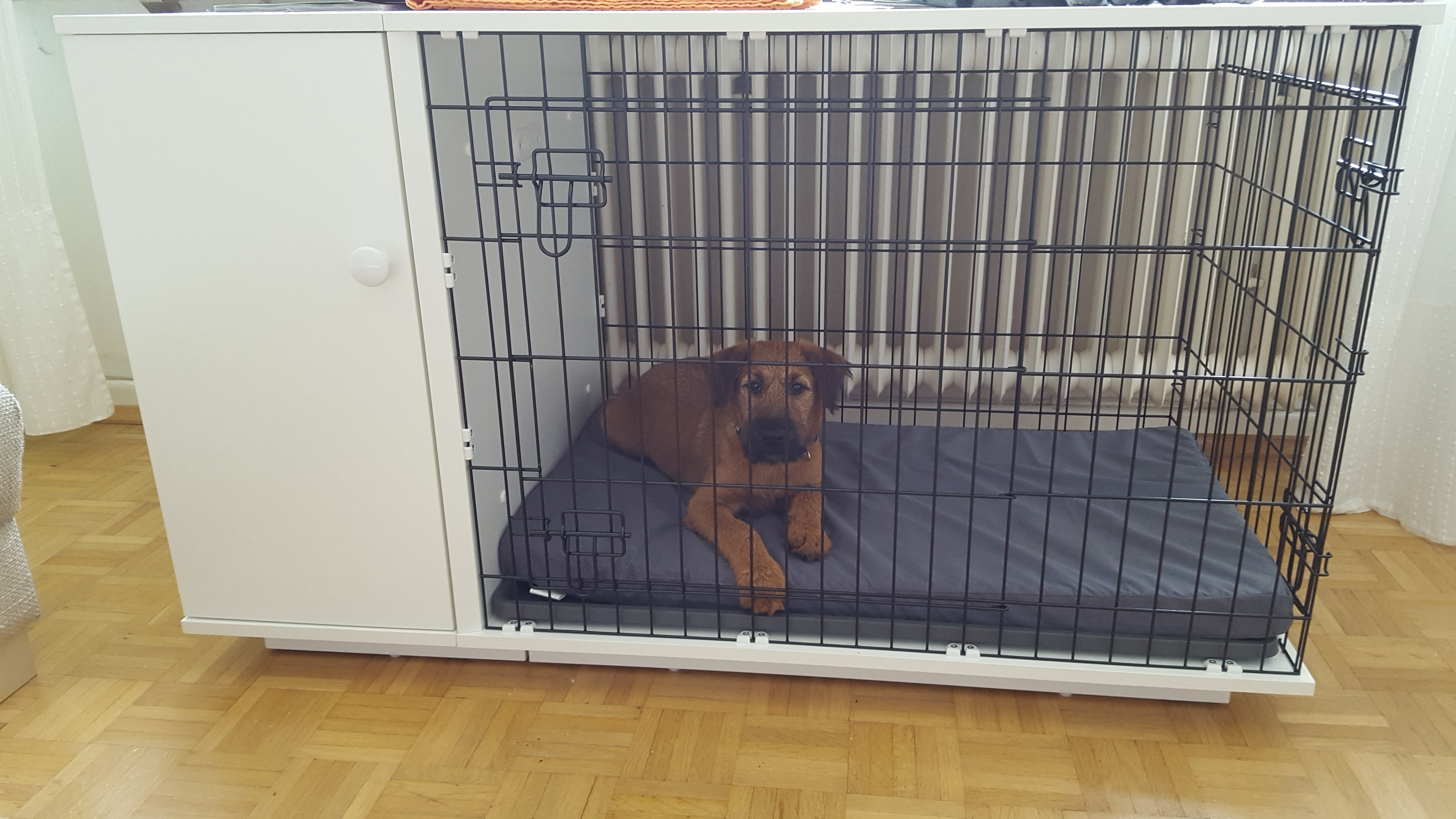 New Fido Studio Dog Crate Dog Products Omlet - Irish Terrier new fido studio dog crate dog products omlet - irish terrier