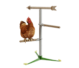 Freestanding Chicken Perch
