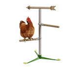 freestanding chicken perch