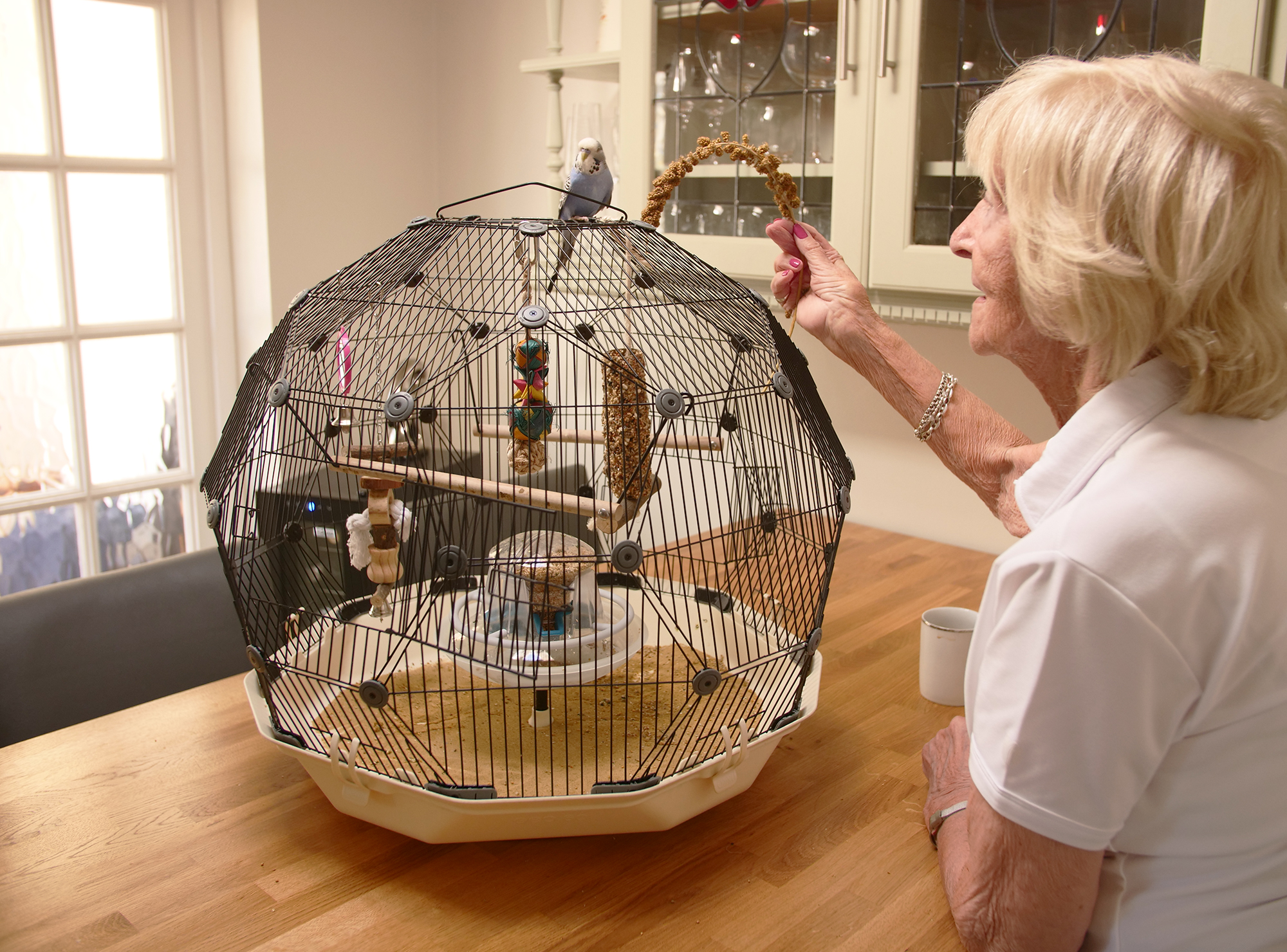 Geo Bird Cage The Beautiful Geodesic Budgie Cage