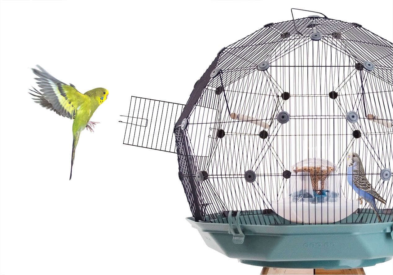 Geo Cage, Budgie Cages, Budgies, Guide