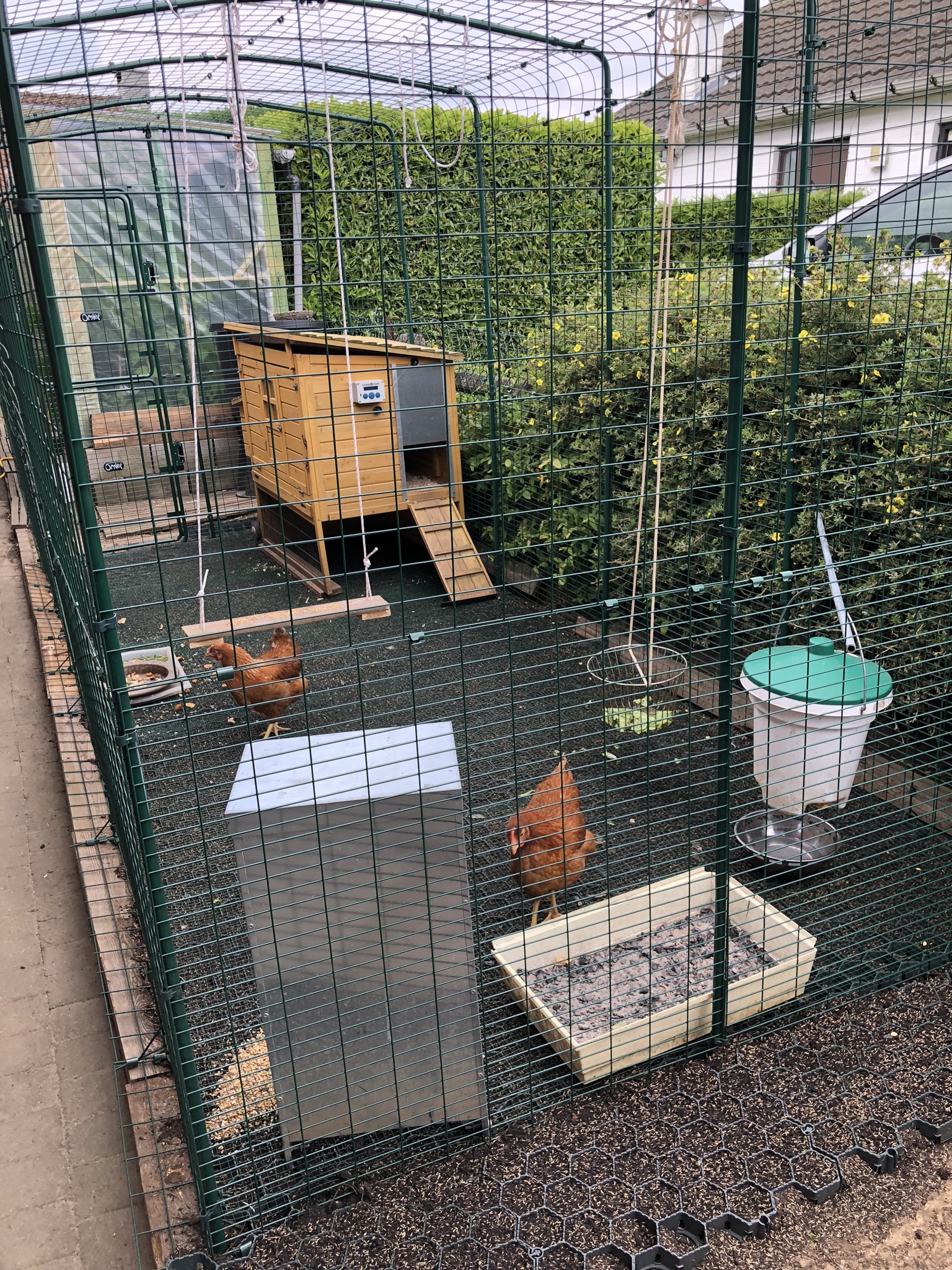 Walk in Chicken Run Large Outdoor Chicken Enclosure