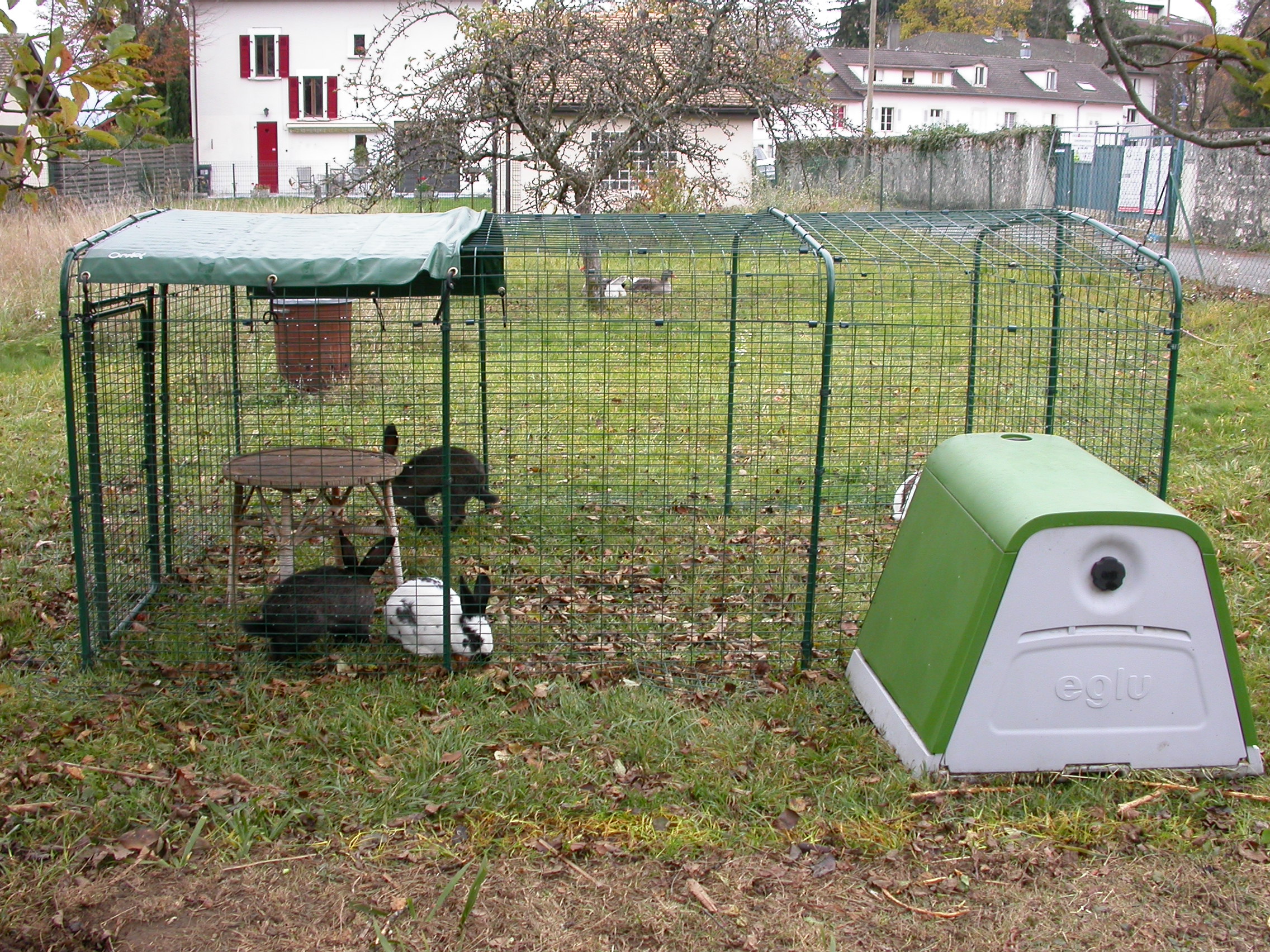 Outdoor Rabbit Run Large Outdoor Rabbit Enclosure