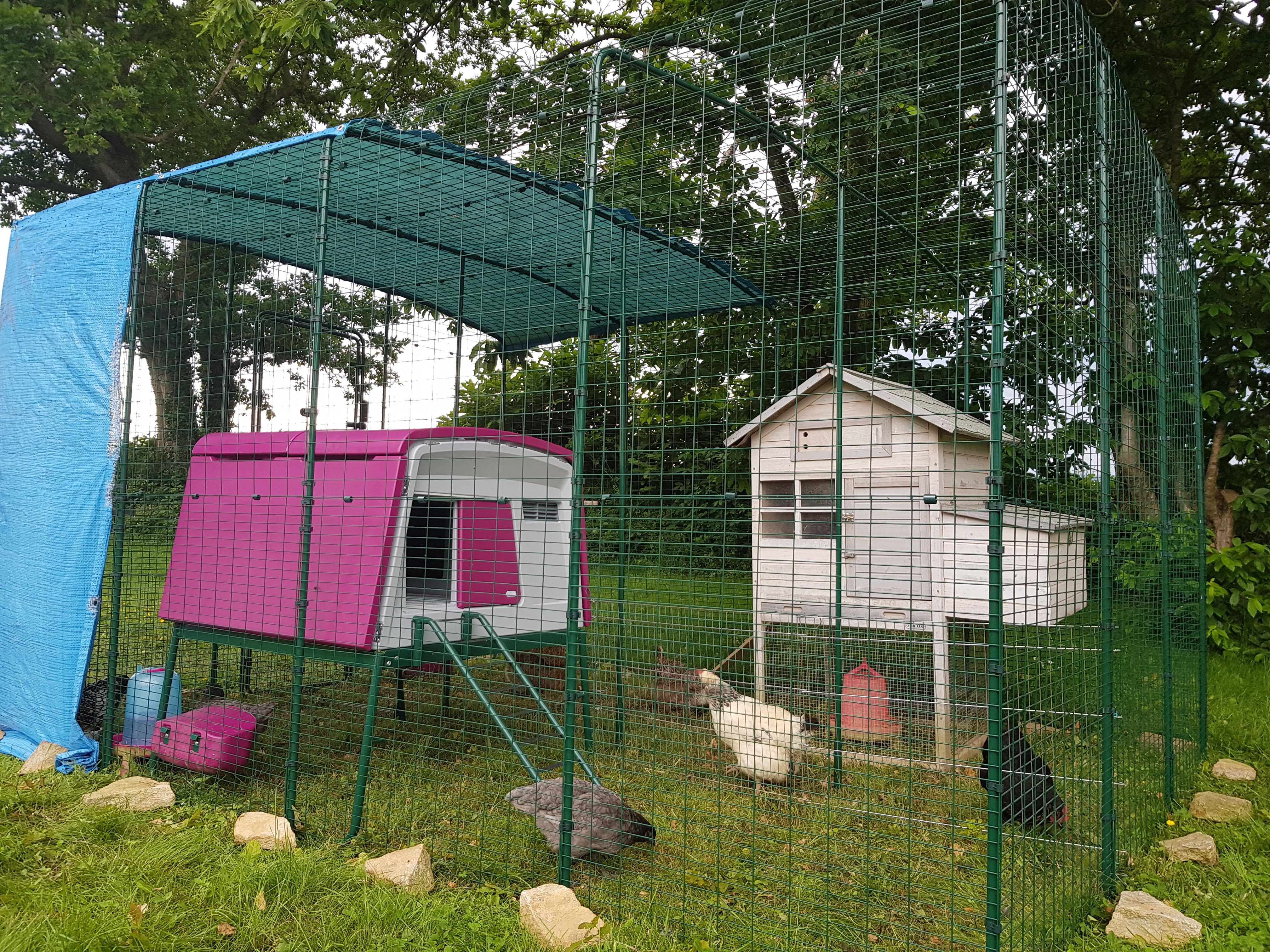 Eglu Chicken Coop Easy to Clean Fox Proof Hen House