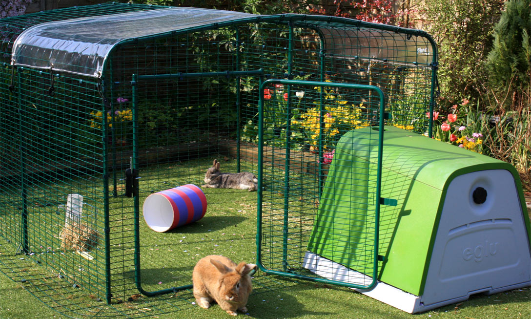 Eglu rabbit run store