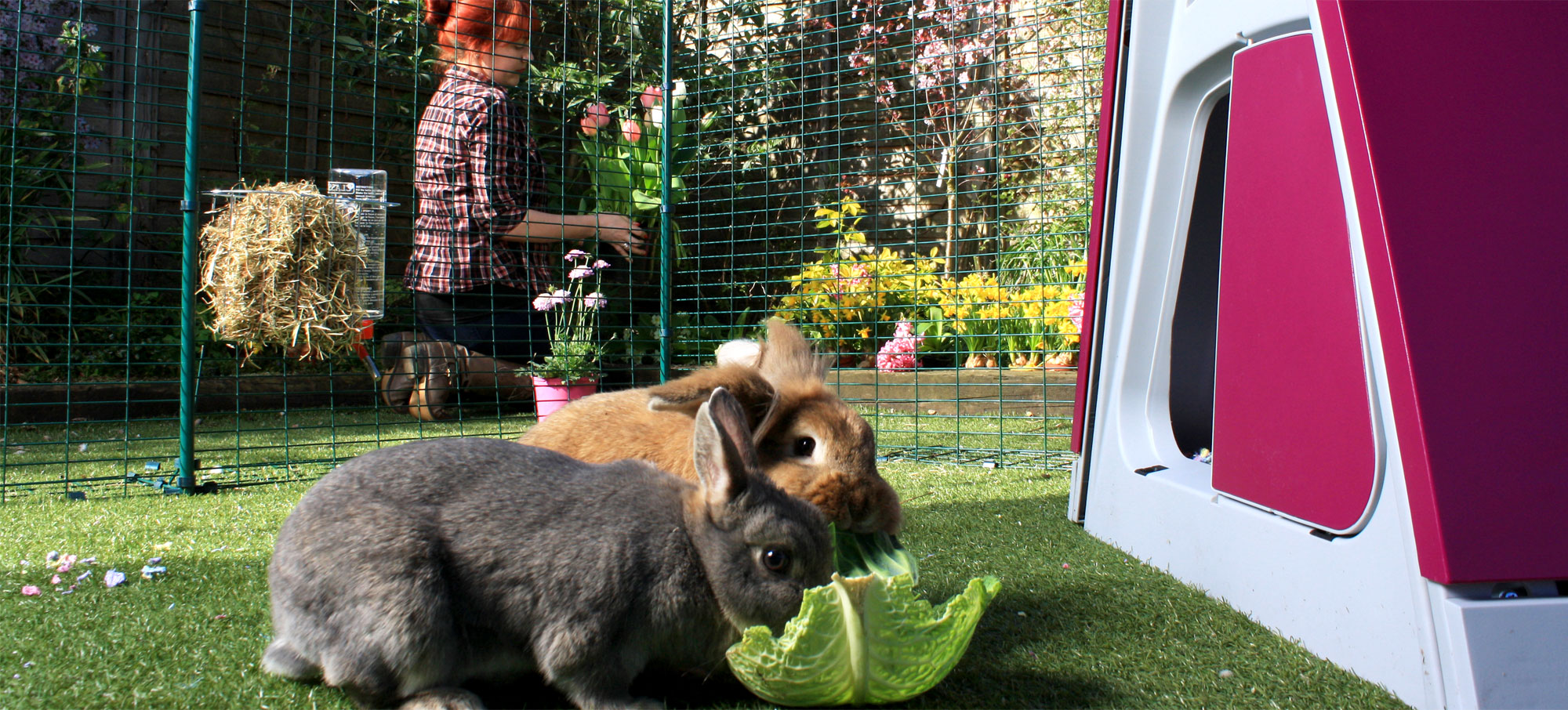 Omlet outdoor cheap rabbit run