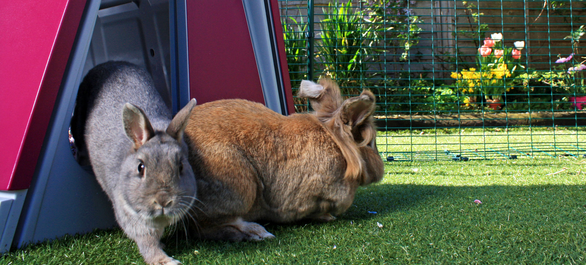 Outdoor Rabbit Run Large Outdoor Rabbit Enclosure Omlet
