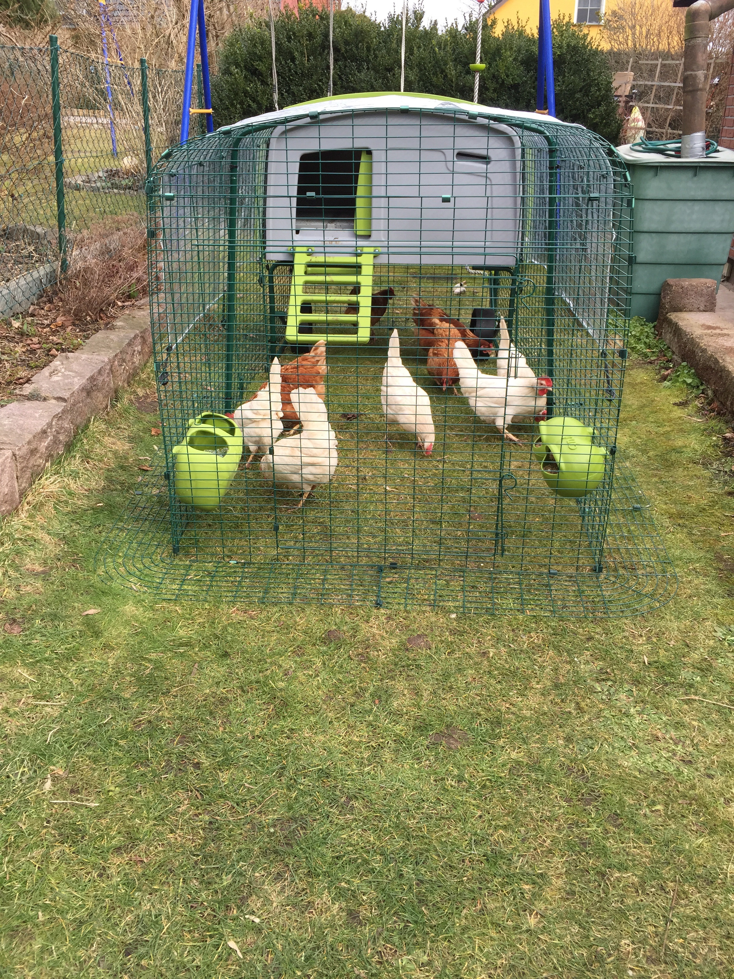 Reviews for Eglu Cube Chicken Coop Chicken Keeping Omlet