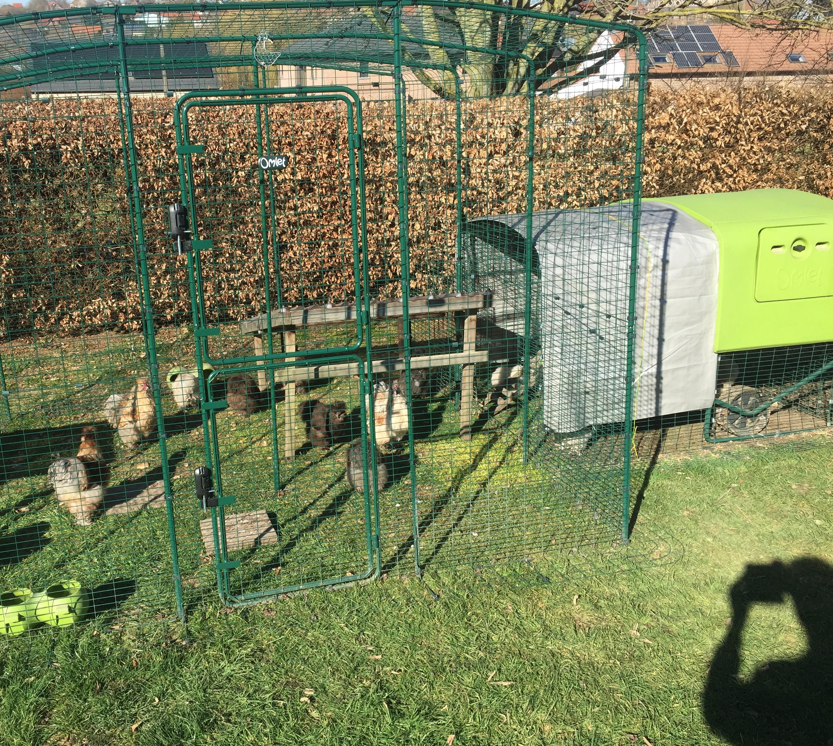 Walk in Chicken Run Large Outdoor Chicken Enclosure