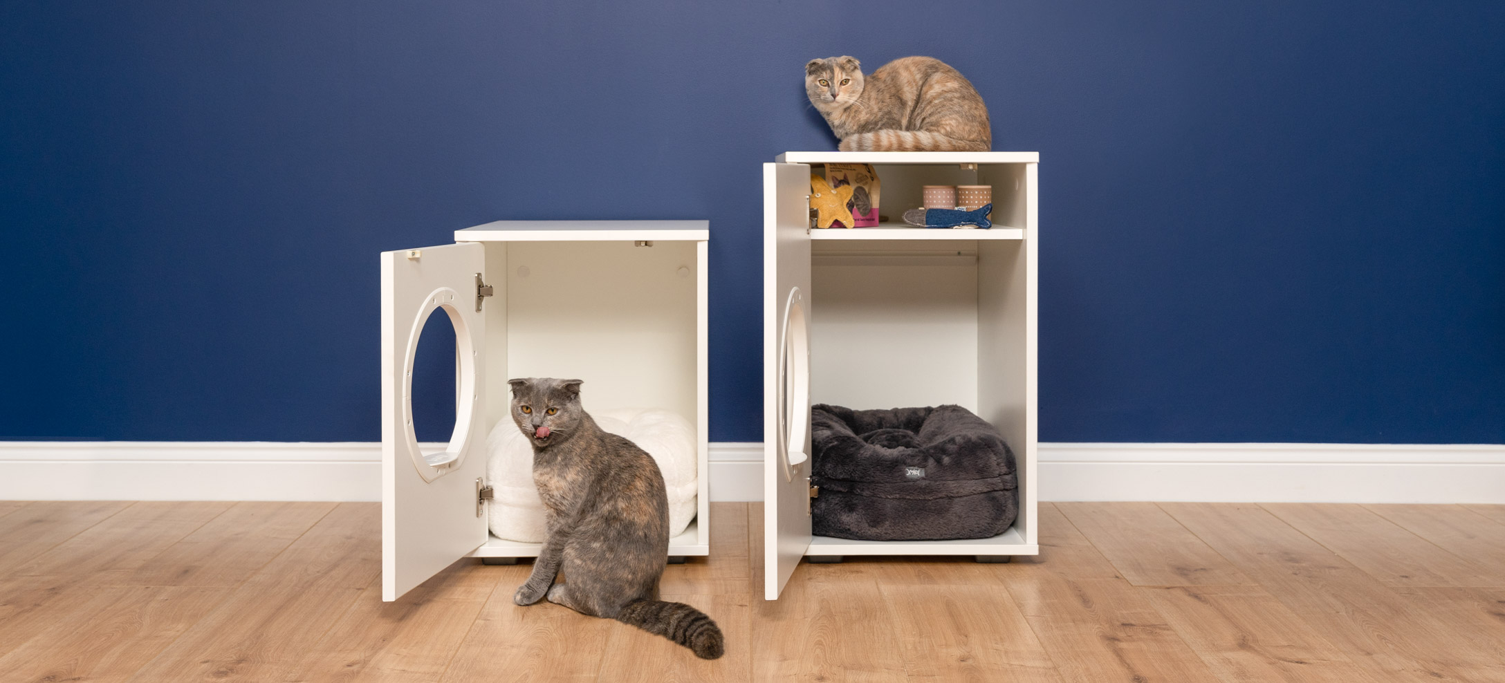 Cats and deals furniture