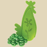 Winter Products Newsletter Product
