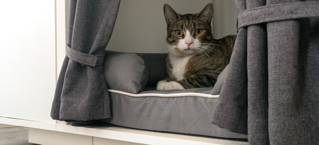 cat house bed uk